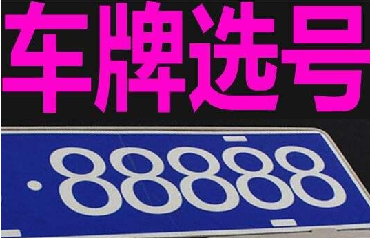 车牌选号